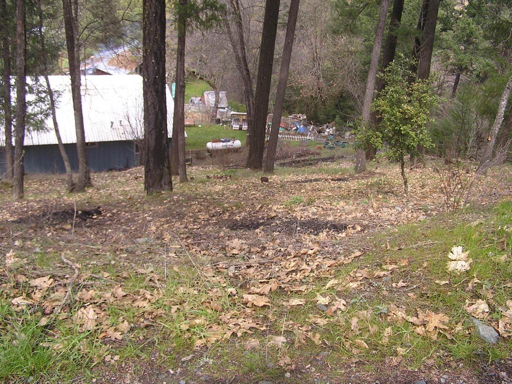 loading Gallery/Hazard Reduction Program/2010/fullsize/100328 019.JPG... or select a thumbnail